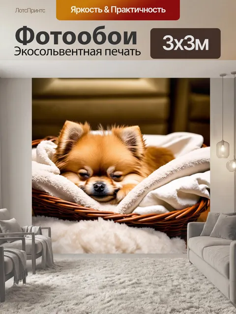 Фотообои забавный кадр карликового шпица, спящего в корзине с мягким бельём, на фоне роскошного интерьера