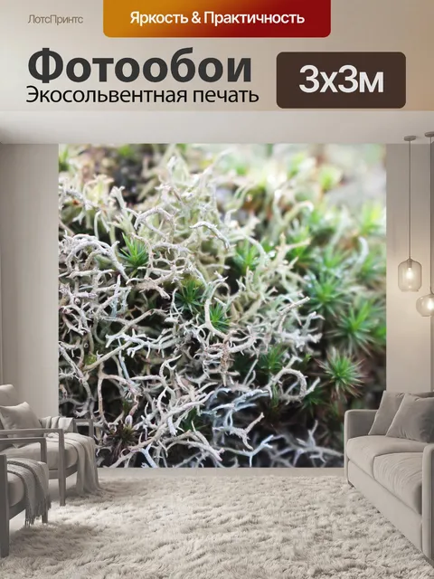 Фотообои Мохообразные