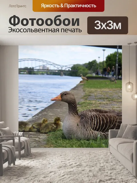 Фотообои Утки