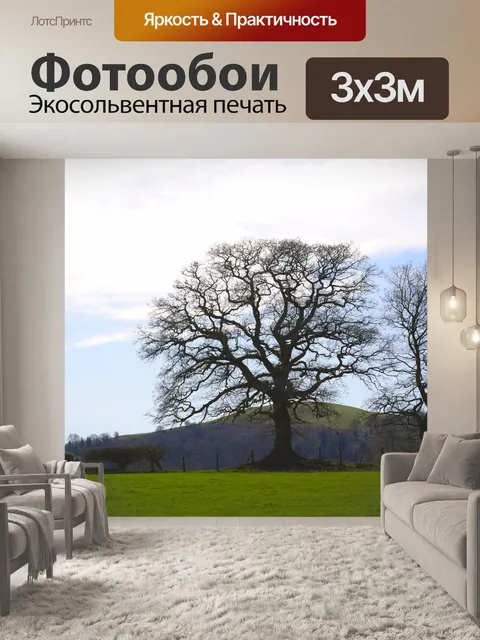 Фотообои Дерево