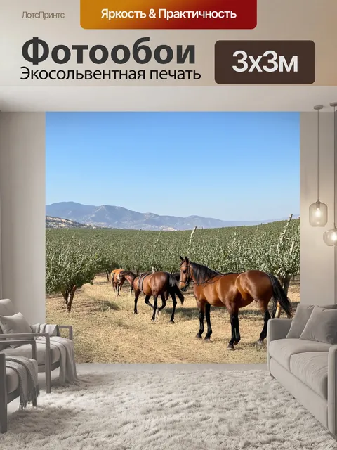 Фотообои греческий пейзаж, горы и долины, оливковые рощи под ясным небом, кони гуляют на фоне живописной природы