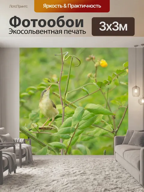 Фотообои Маленькая птица