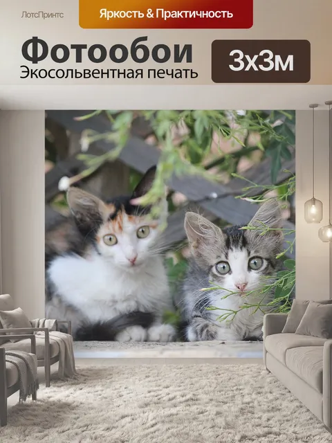 Фотообои Котята