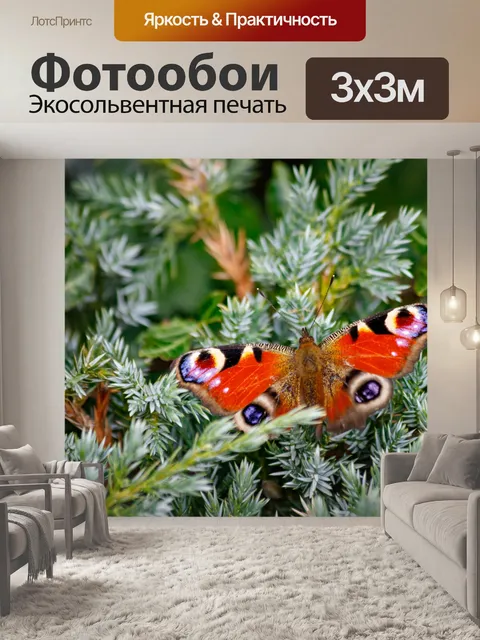 Фотообои Садовая бабочка