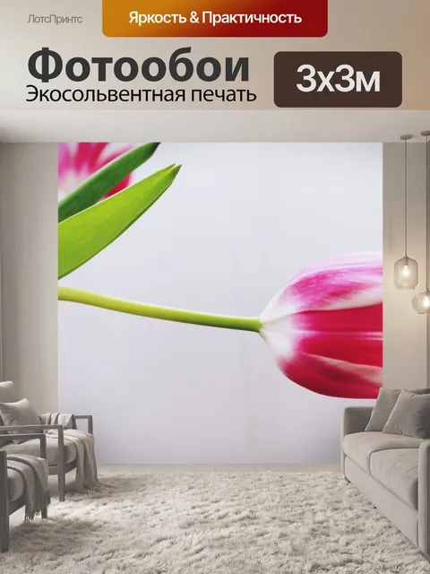 Фотообои Тюльпан