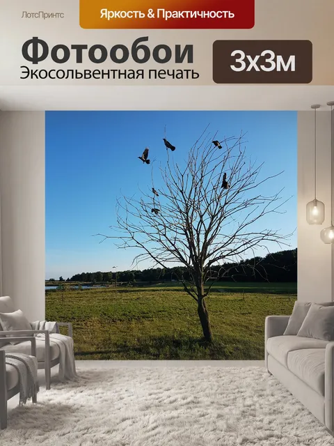 Фотообои Птица