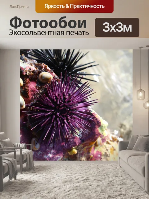 Фотообои Море