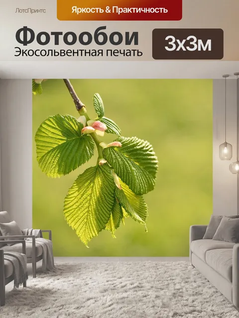 Фотообои Висячий вяз