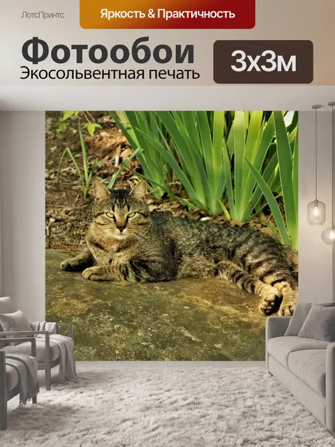 Фотообои Полосатый кот Чиллин & 039; на рок