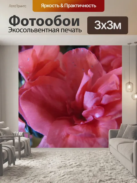 Фотообои Красная Азалия
