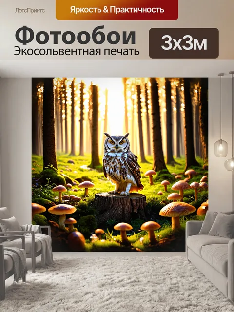 Фотообои сова, сидящая на пне посреди леса, окружённая мягким светом заката