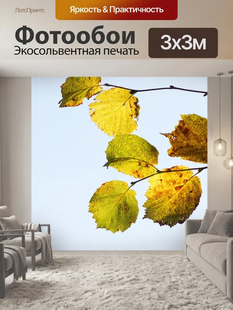 Фотообои Листья светло-карие