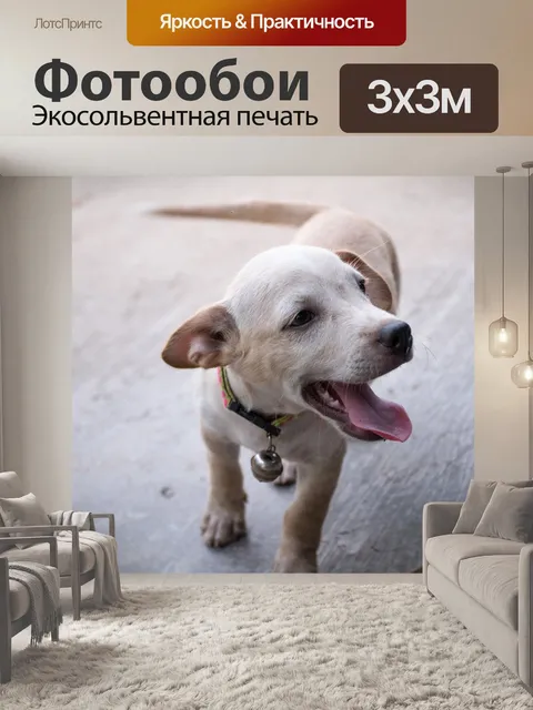 Фотообои Щенок