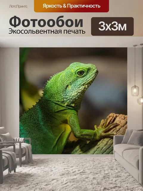 Фотообои Китайский водяной дракон