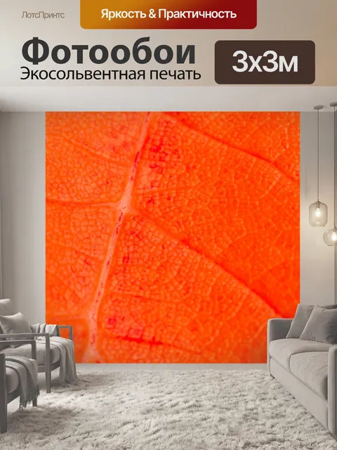 Фотообои Красный лист подробно