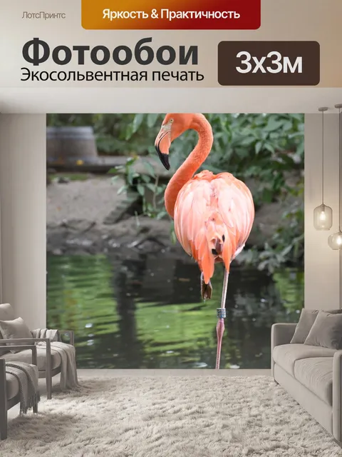 Фотообои Фламинго