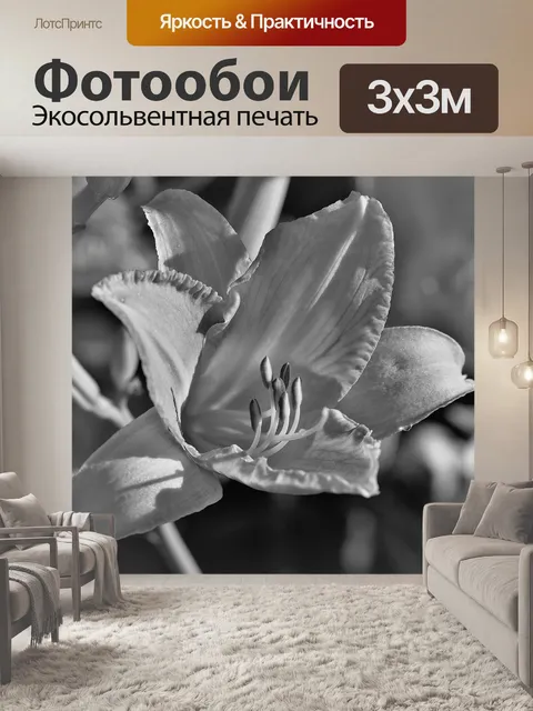 Фотообои Черно-белый