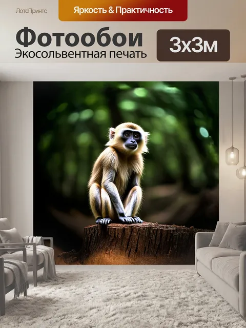 Фотообои на фоне спокойной лесной глади