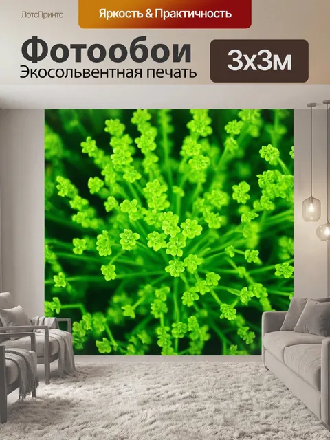 Фотообои зеленые в стиле модерн, легкость и воздушность, изображение нежных растений, пастельные тона