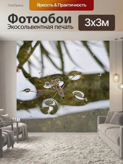 Фотообои Страйдеры воды
