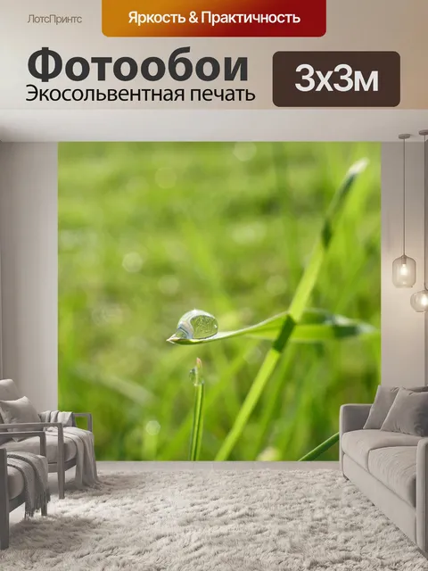 Фотообои Капля росы