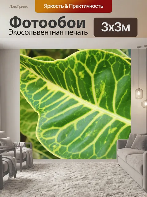 Фотообои лист