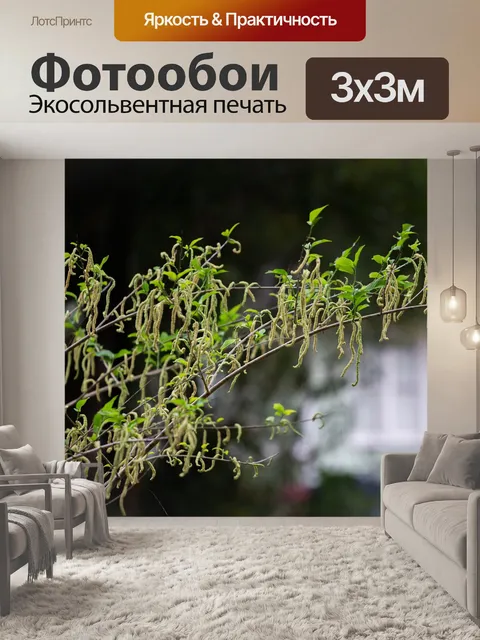 Фотообои Allukon