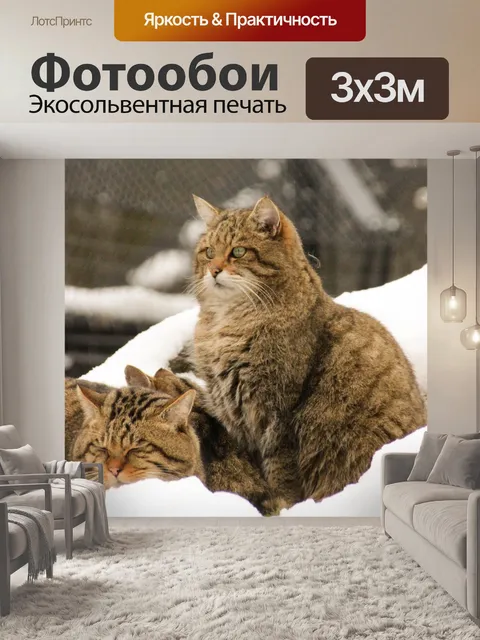 Фотообои Дикая кошка
