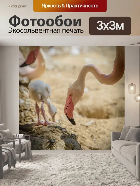 Фотообои Фламинго