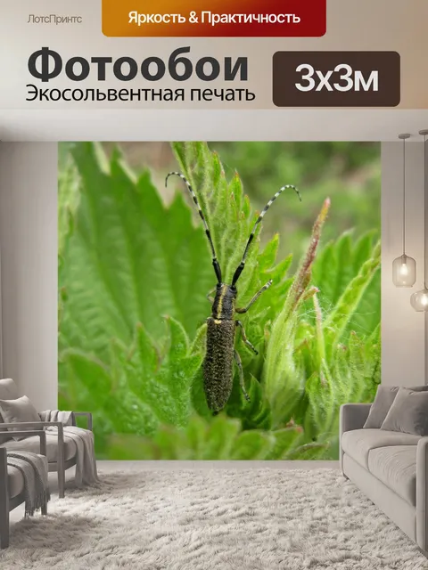 Фотообои Bug