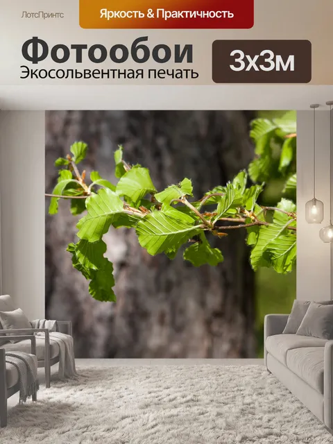 Фотообои Ветвь