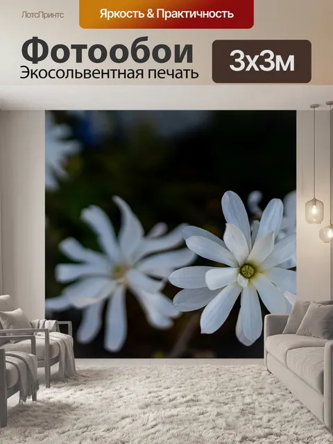 Фотообои Цветок