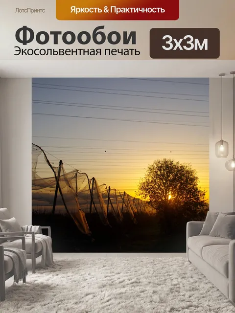 Фотообои Восход солнца через дерево с фруктовым с