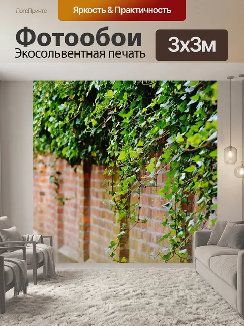 Фотообои Стена