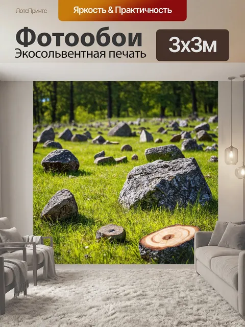 Фотообои поле, усыпанное большими камнями и кусками древесины, амулетами природы, рассказывающими тайны минувших дней