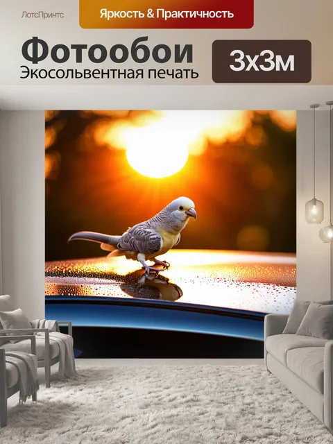 Фотообои визуализируйте кореллу, сидящую на капоте автомобиля, покрытого росой, с восходящим солнцем на фоне