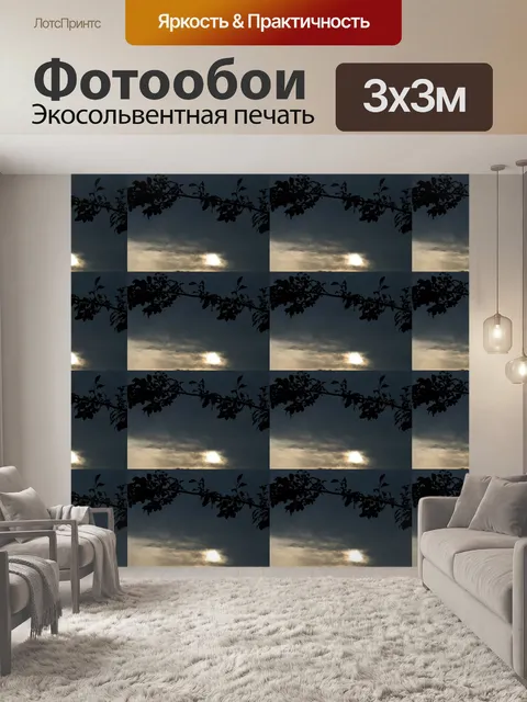 Фотообои розы тростника силуэт обои