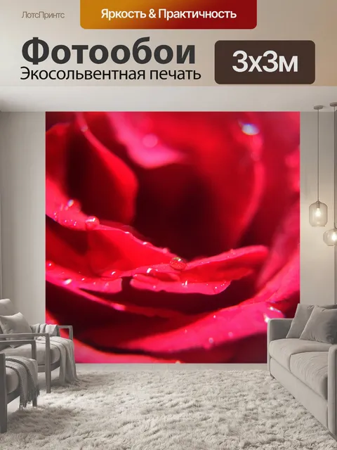 Фотообои Рядом с 4 розы