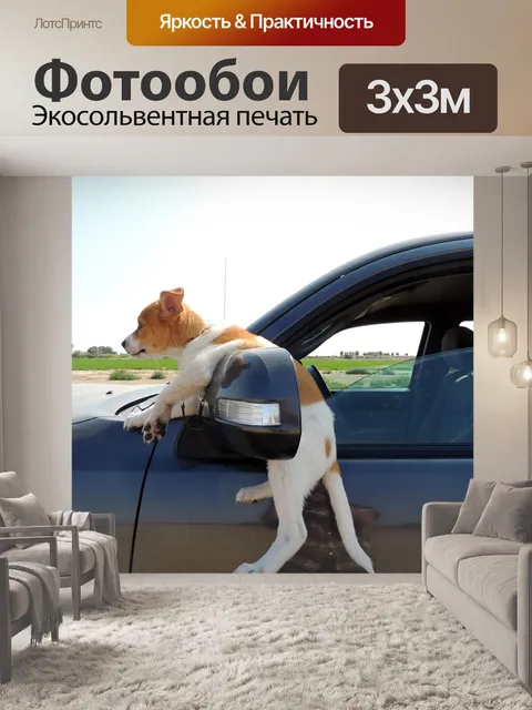 Фотообои Щенок