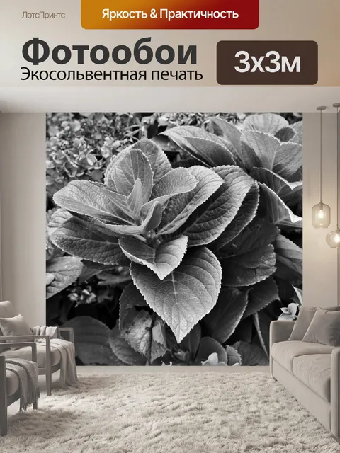 Фотообои листва в черно-белом
