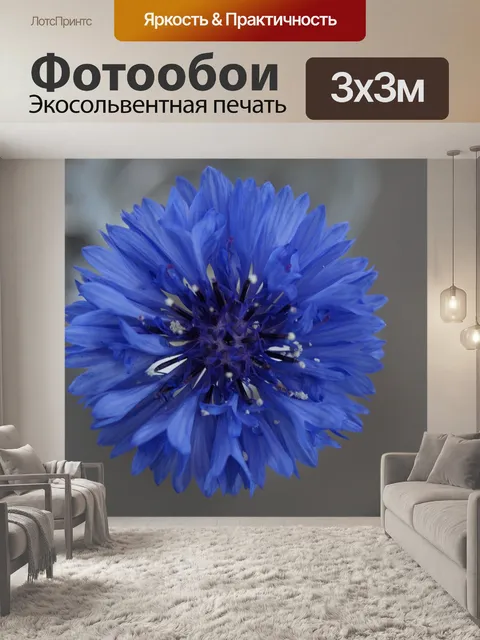 Фотообои Васильковый