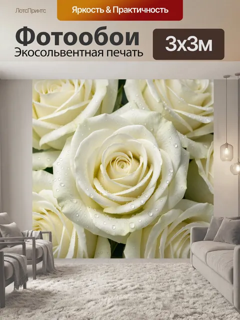 Фотообои Белые розы с каплями росы