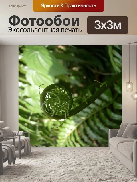 Фотообои Папоротник