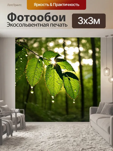 Фотообои лес с солнечными каплями, отлипающими от листвы