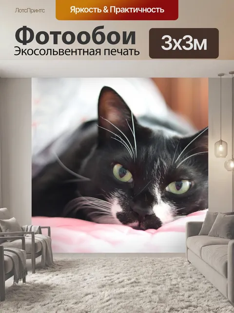 Фотообои Кошачьи глаза
