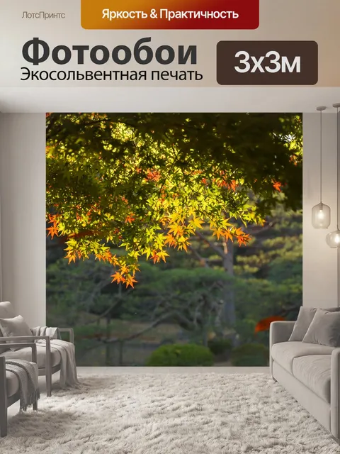 Фотообои Клен