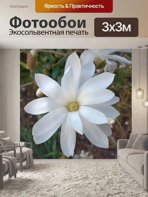 Фотообои Магнолия