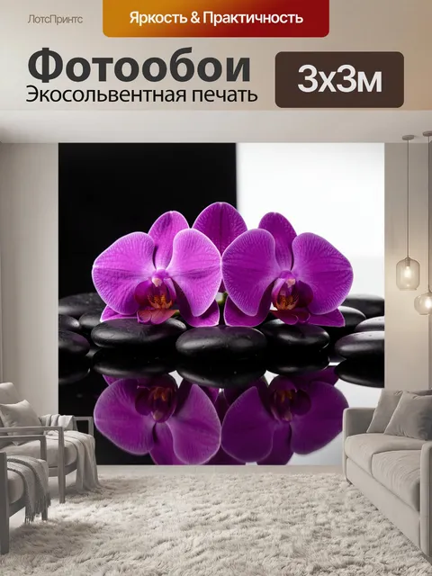 Фотообои Фиолетовые орхидеи на черных камнях