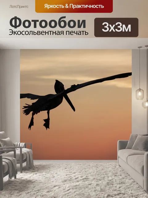 Фотообои Пеликан в полете