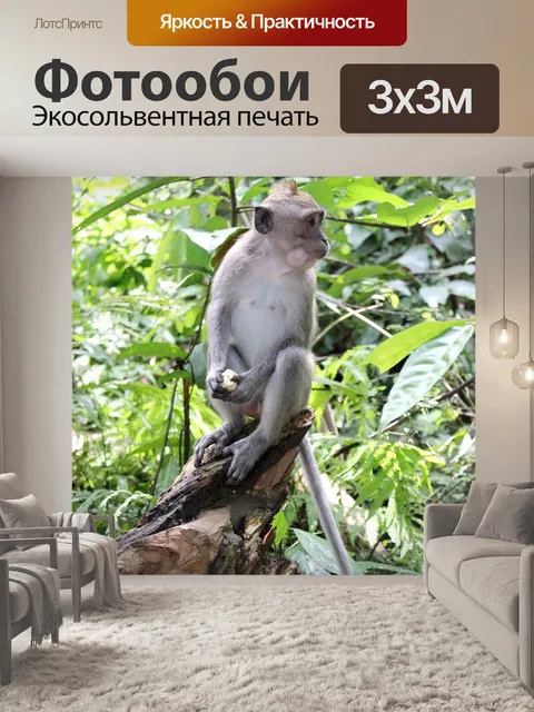 Фотообои Природа